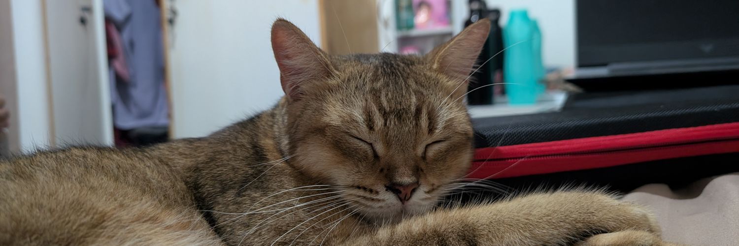 bigbaackwoolves's profile banner image