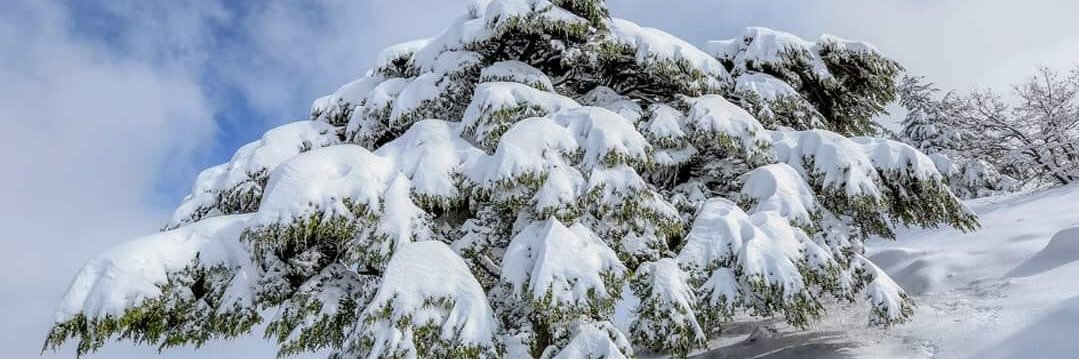 Amar2ga's profile banner image