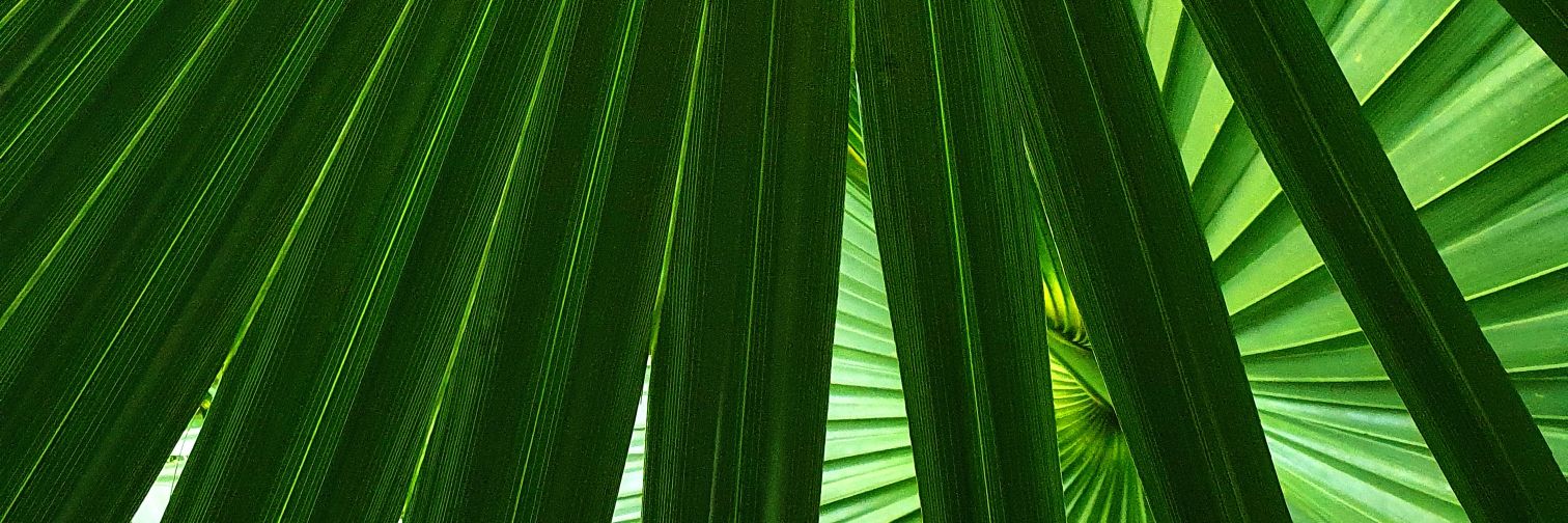 michaelhird's profile banner image