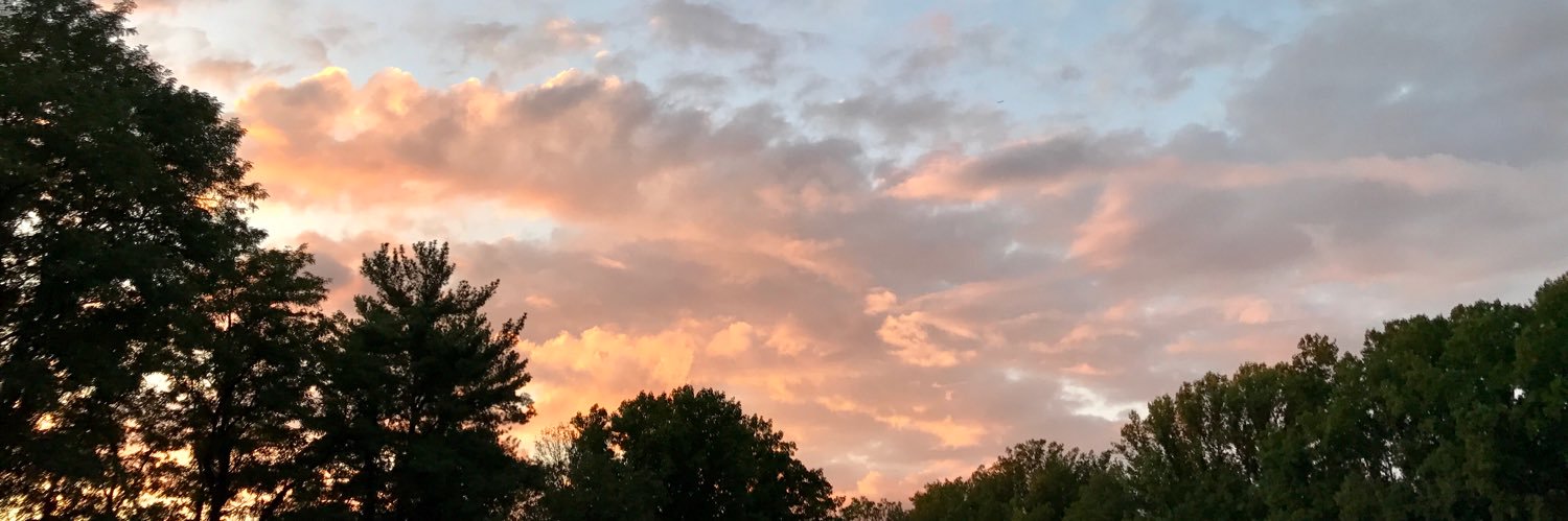 xosabrinna_'s profile banner image