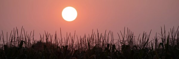 wwkeyboard Profile Banner