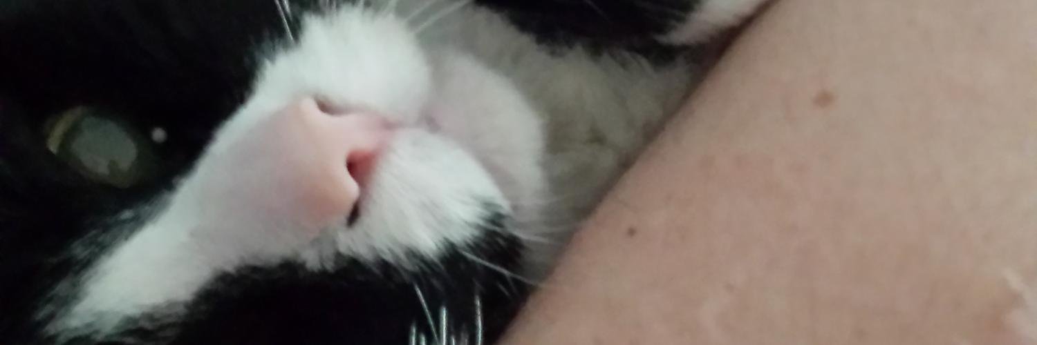 delpede's profile banner image