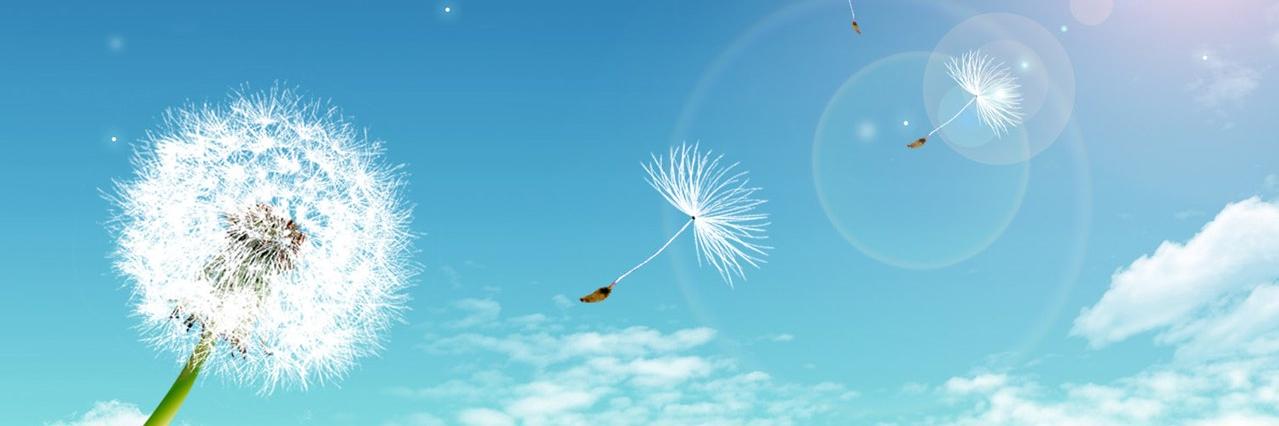 LanaPanhellenic's profile banner image