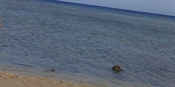 wardalgory1418's profile banner image