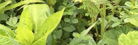 jbrinksjasper's profile banner image