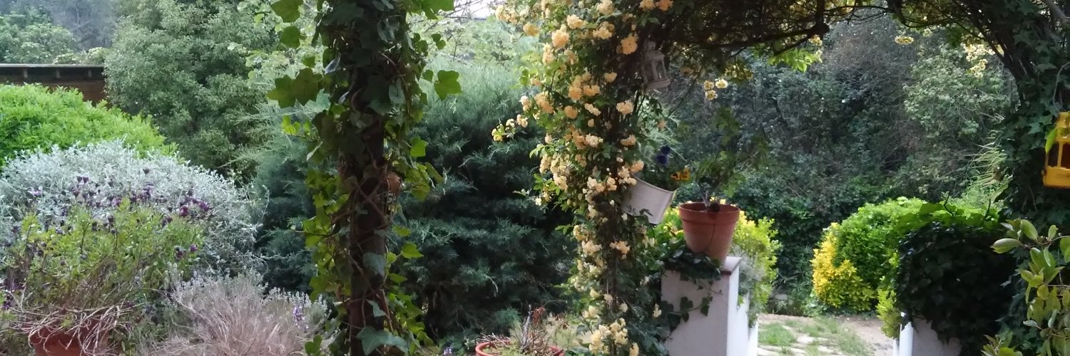 Rosario Fontova banner