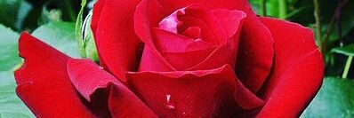 NuraniEsti's profile banner image