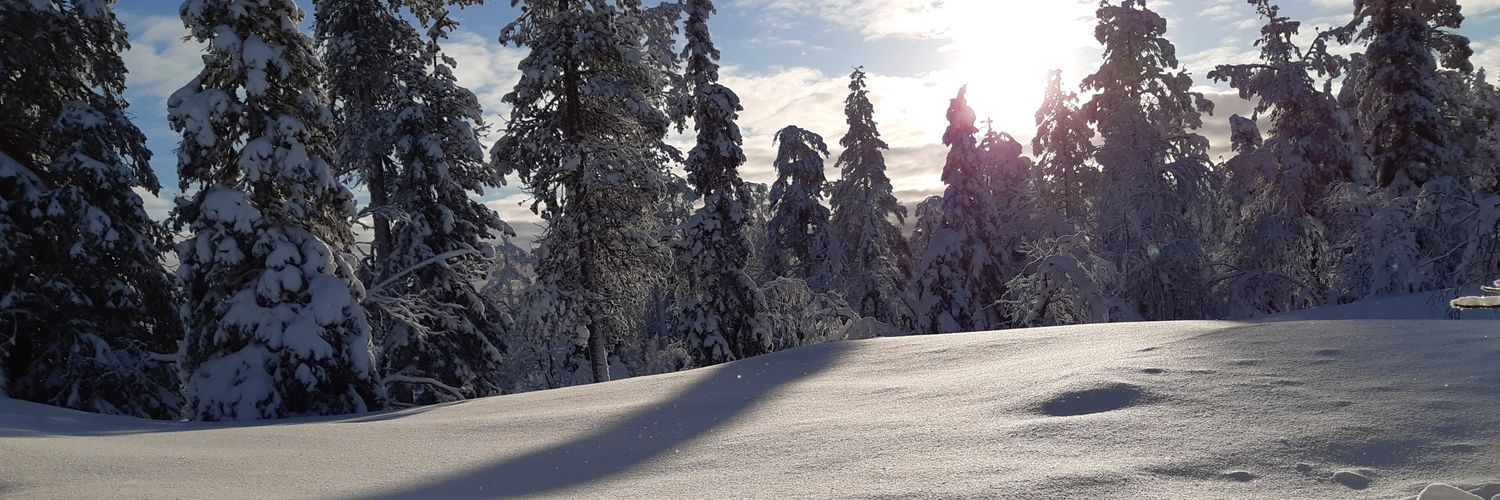 DerWischmopp's profile banner image