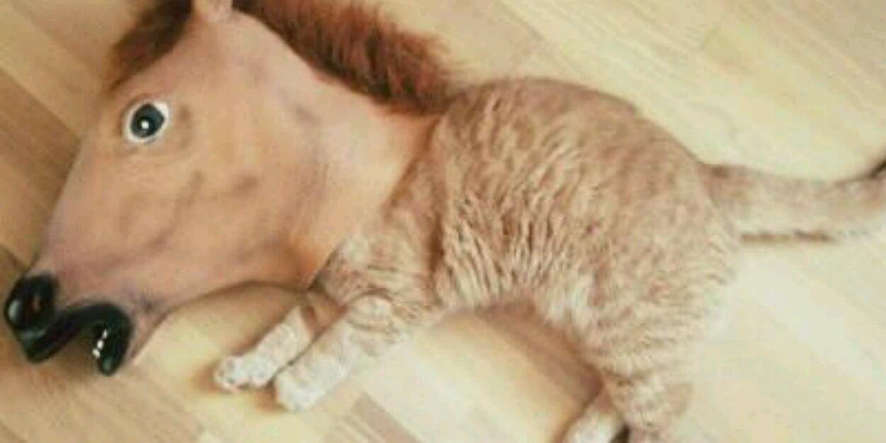 出村貴/でむらたかし banner