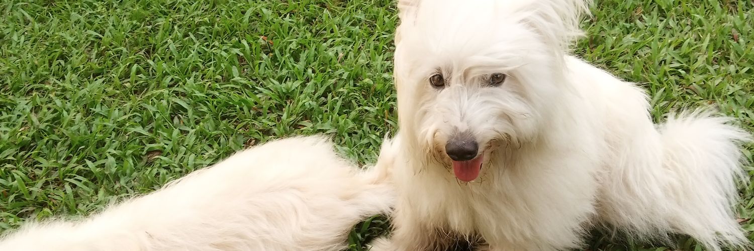 izziranky99's profile banner image