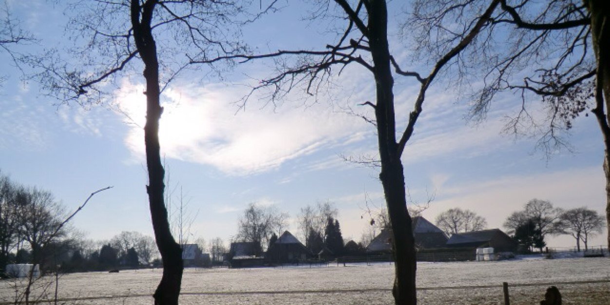 Janneke1972's profile banner image
