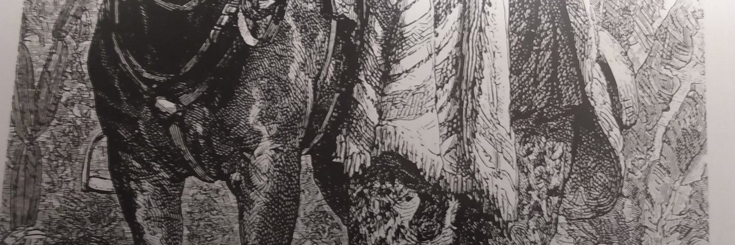 muerde_que's profile banner image