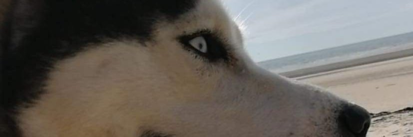PhaphaneClk's profile banner image