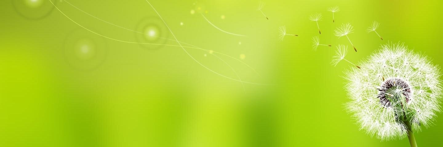 choujay579's profile banner image