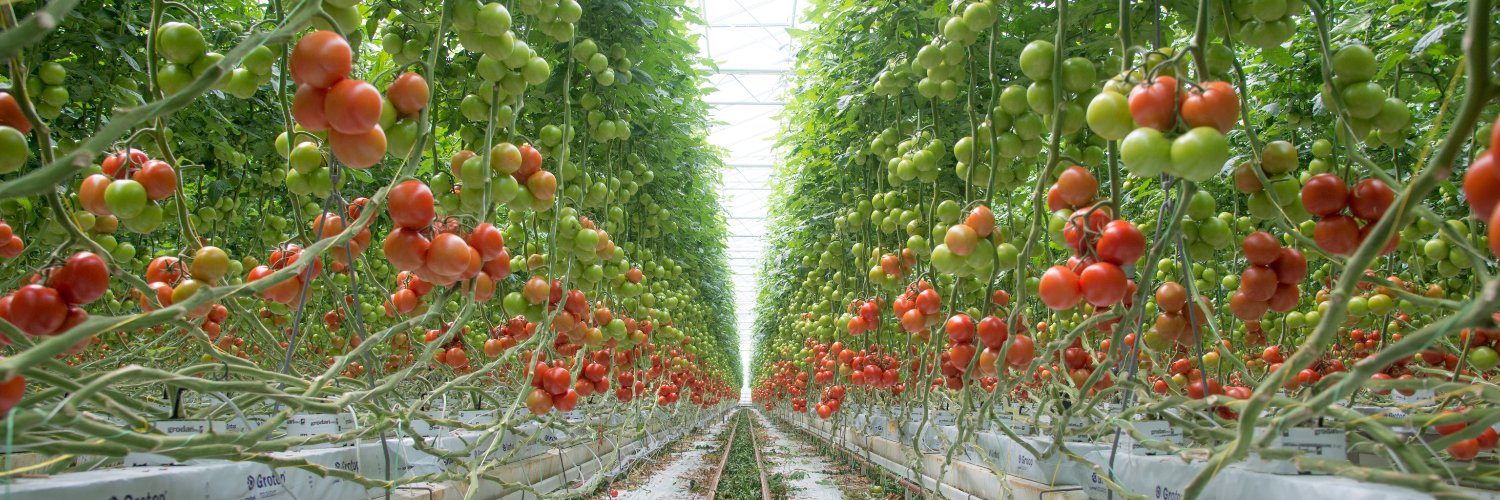 Valto biocontrol banner