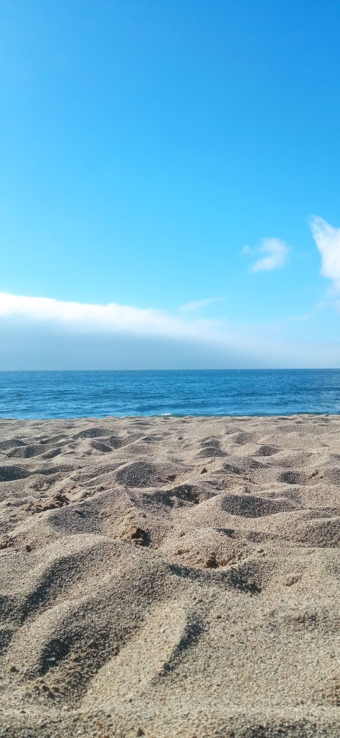 Claudio Canales banner