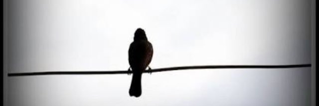 BodkePayal's profile banner image