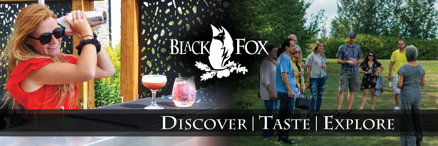 BlackFoxSpirits's profile banner image