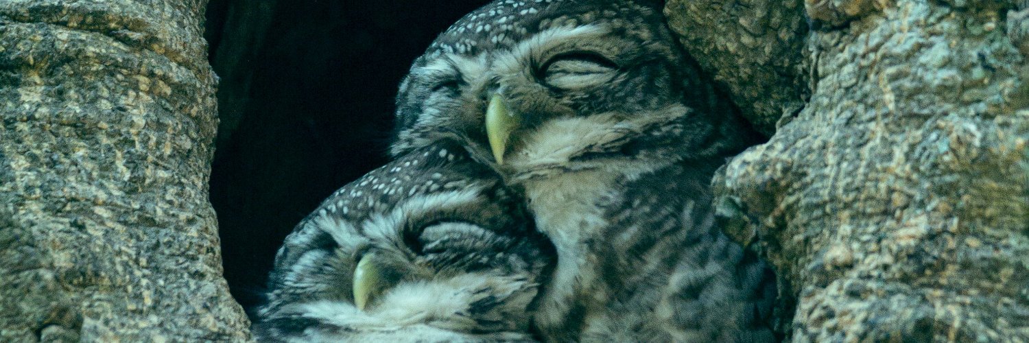 More sleep. banner