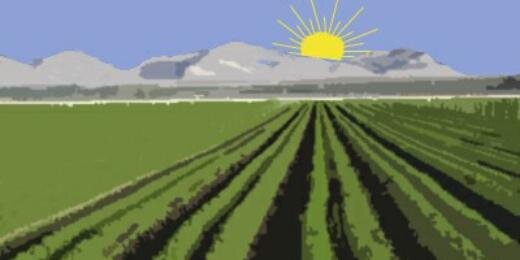 Valley Online News banner