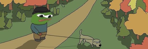 CatSpeedy banner