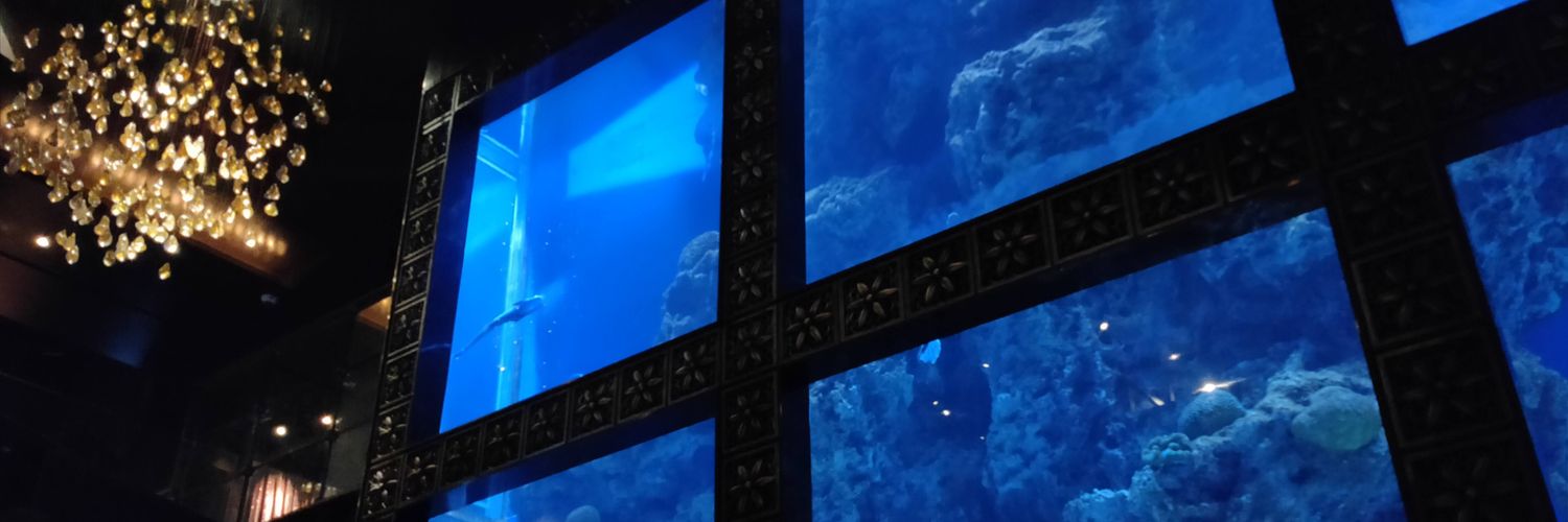 sky5xxx2's profile banner image