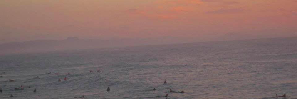 Eleanor Besley banner