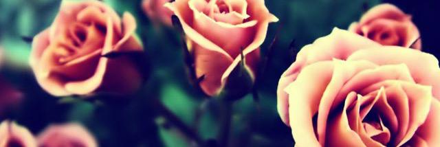 lacydarling's profile banner image