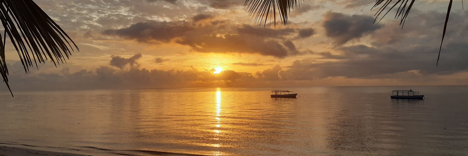 dnjau's profile banner image