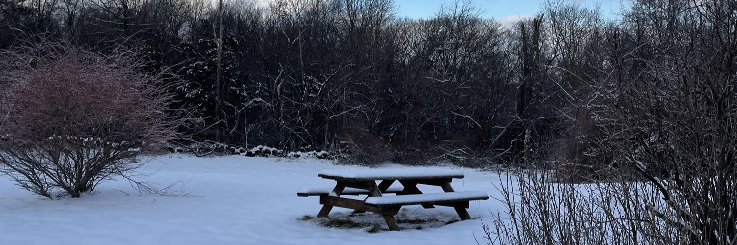 Joe Luca, REALTOR banner