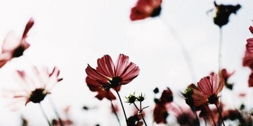 louiwgdr's profile banner image