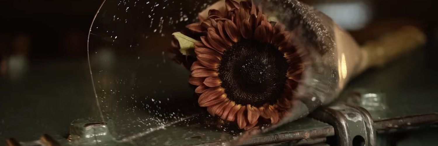 pathymell22's profile banner image