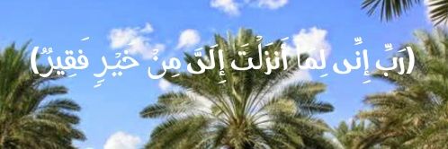 m_albotti's profile banner image