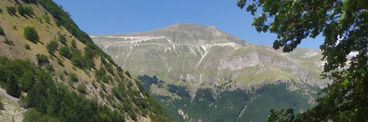 foschi40's profile banner image