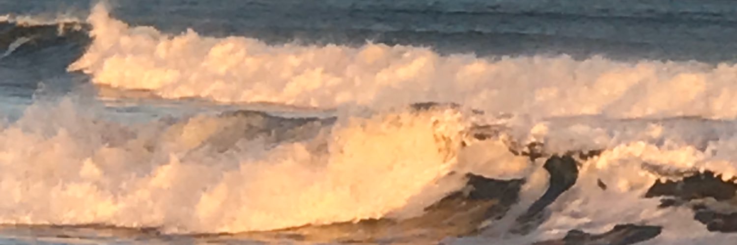 MaryLou Kelly Beaver banner