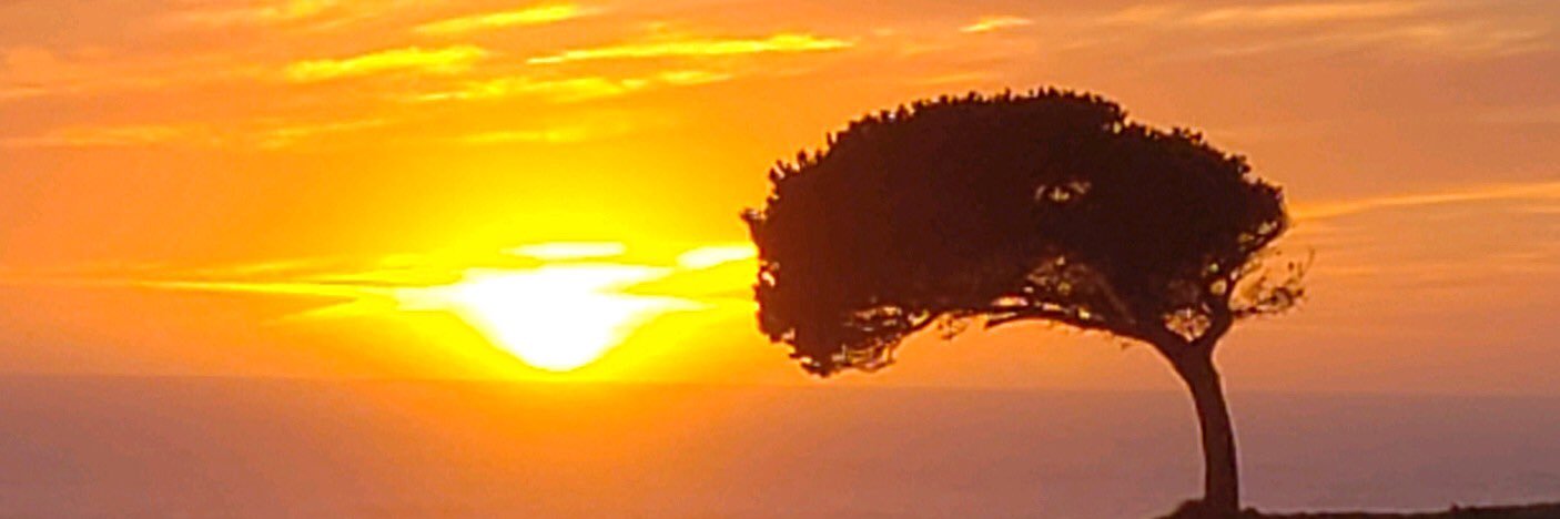 WMS2009's profile banner image