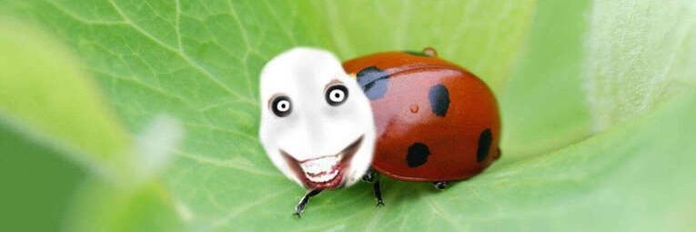 Emílio em busca da simbiose banner