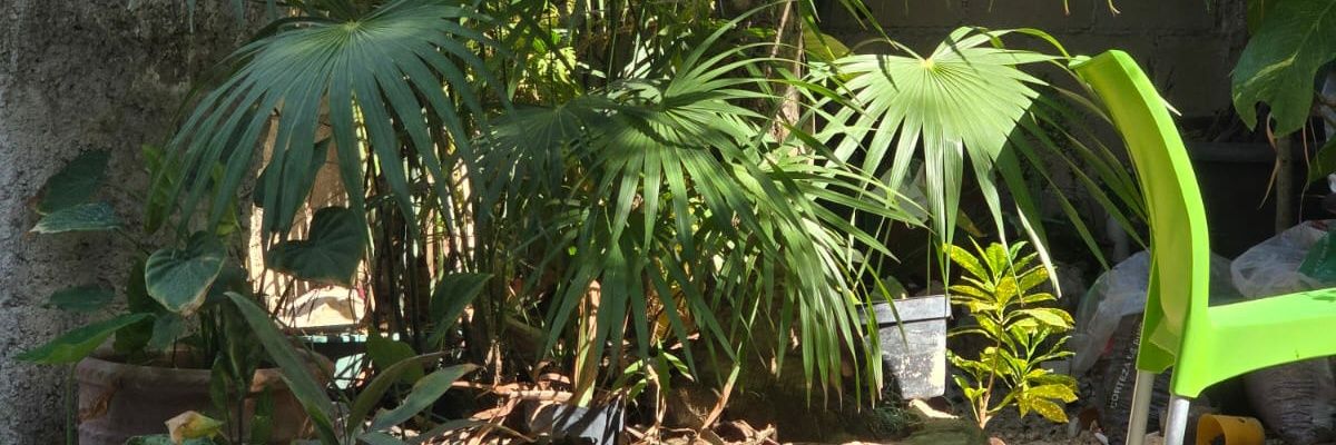 VAPORGAYPLAYA's profile banner image