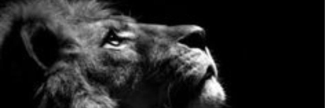 Djdoublemz's profile banner image