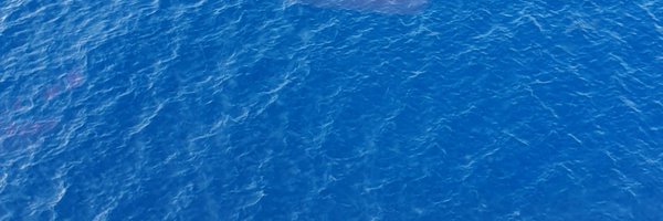 weenoonie Profile Banner
