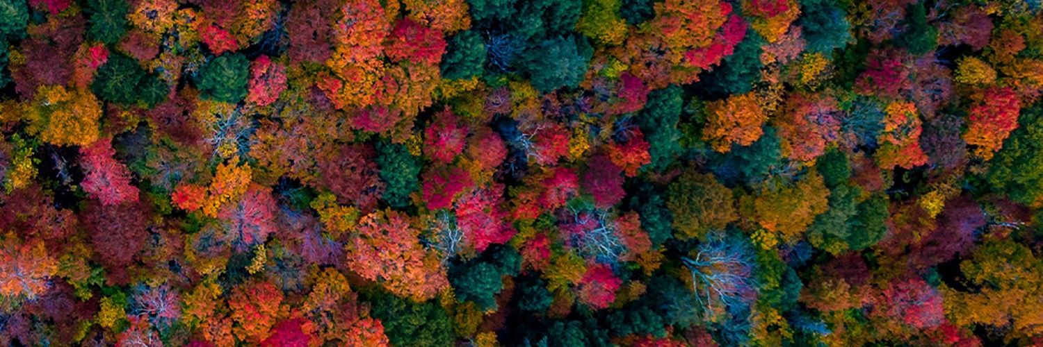 Mikey_XII's profile banner image
