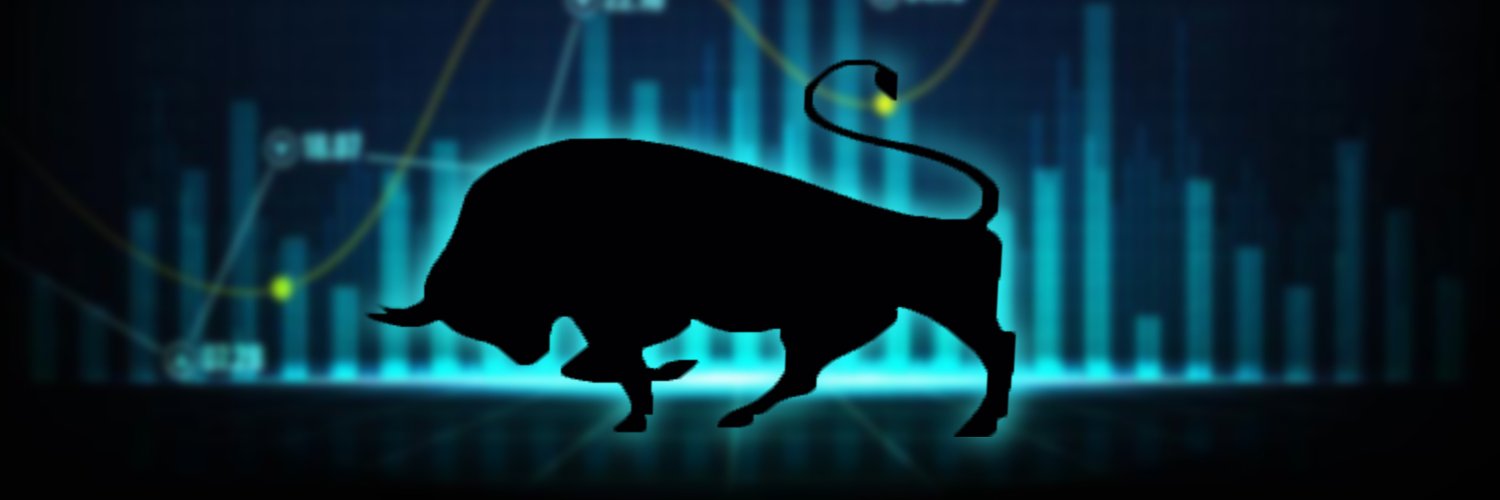 BIG BULL banner