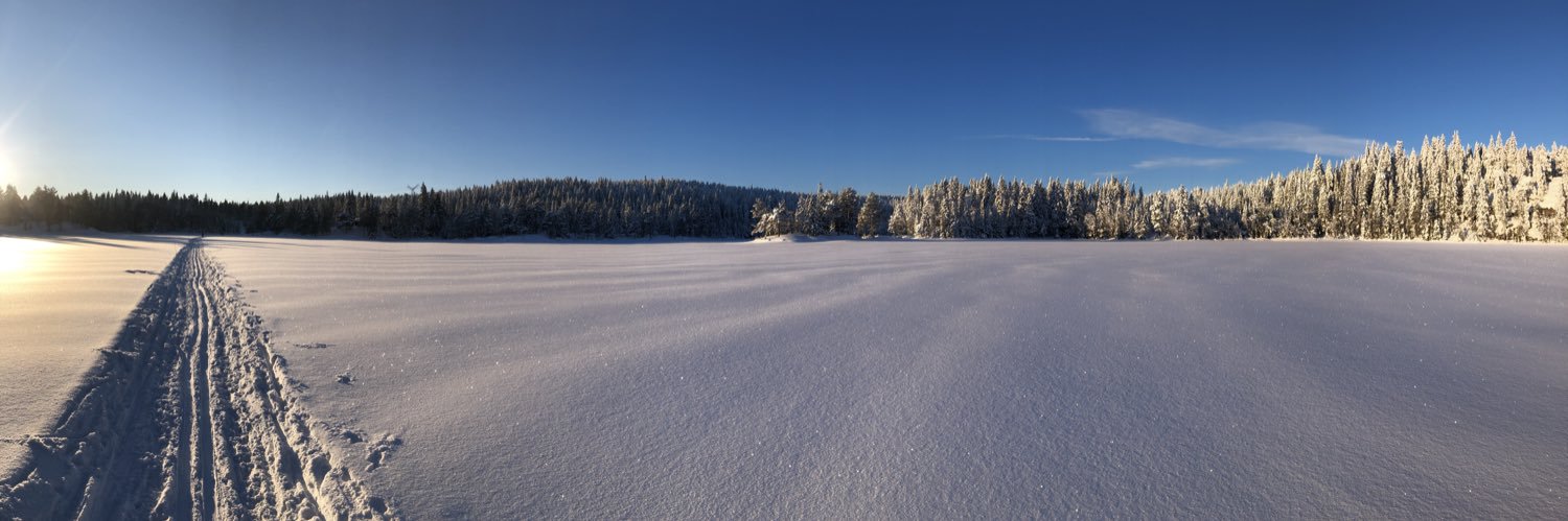 Fridtjof Unander banner