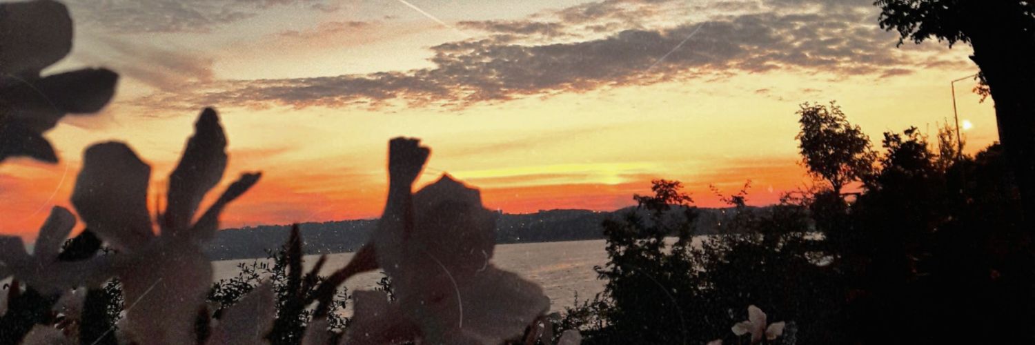 sirinhilalks's profile banner image