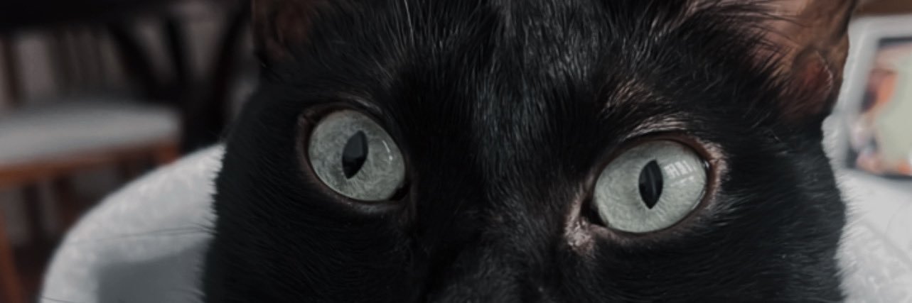 scorpioxroyalty's profile banner image