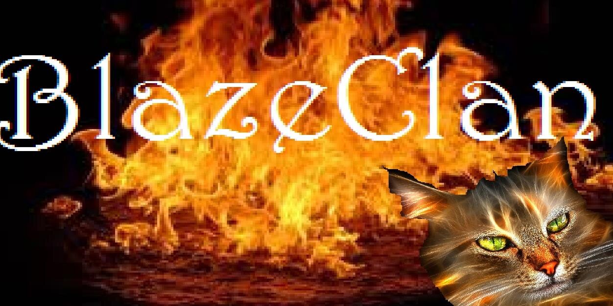 Snow_of_Sc1's profile banner image