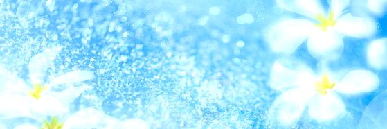 s2nagomi's profile banner image