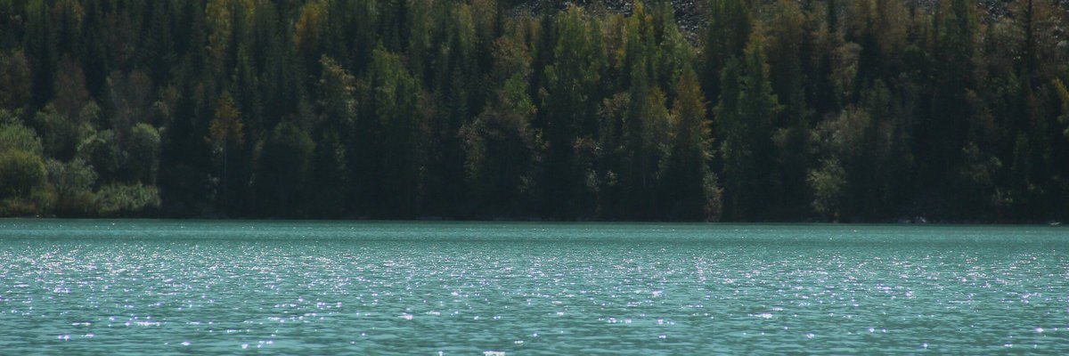 Jorg2_hz's profile banner image
