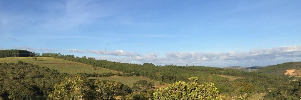 Luiz Lopes🦊🦊 banner