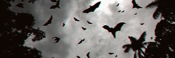 RiizzCreations's profile banner image